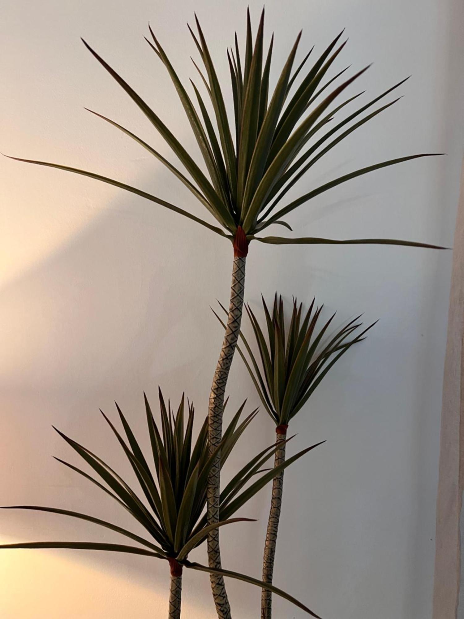 Apartament Bambu Carboneras